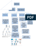 Histogenesis Ilustrado