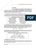 1. Respiracion-celular-3.pdf