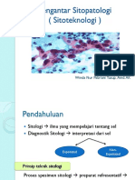 Sitoteknologi Presented (Bu Winda-Printout) PDF