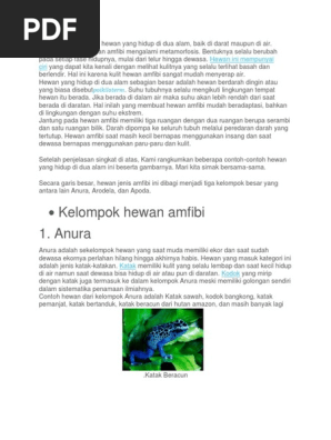 Kelompok Hewan Amfibi 1 Anura Hewan Ini Mempunyai Ciri