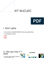 Axit Nucleic D y M Đình