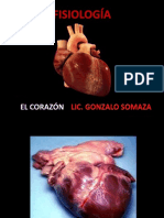 7.1 El Corazon