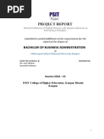 Project Report: Bachelor of Business Administration