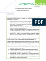 Aplicación Pauta Implementación rad. uv.pdf