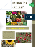 Partes y Funciones de Una Planta.