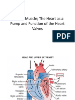 Cardiac Muscle The Heart As A Pump and Function of The Heart Valves