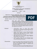 SKKNI 2009-322 (Pengolahan Akhir Tekstil Sub Bidang Pencelupan Benang Dan Kain) PDF