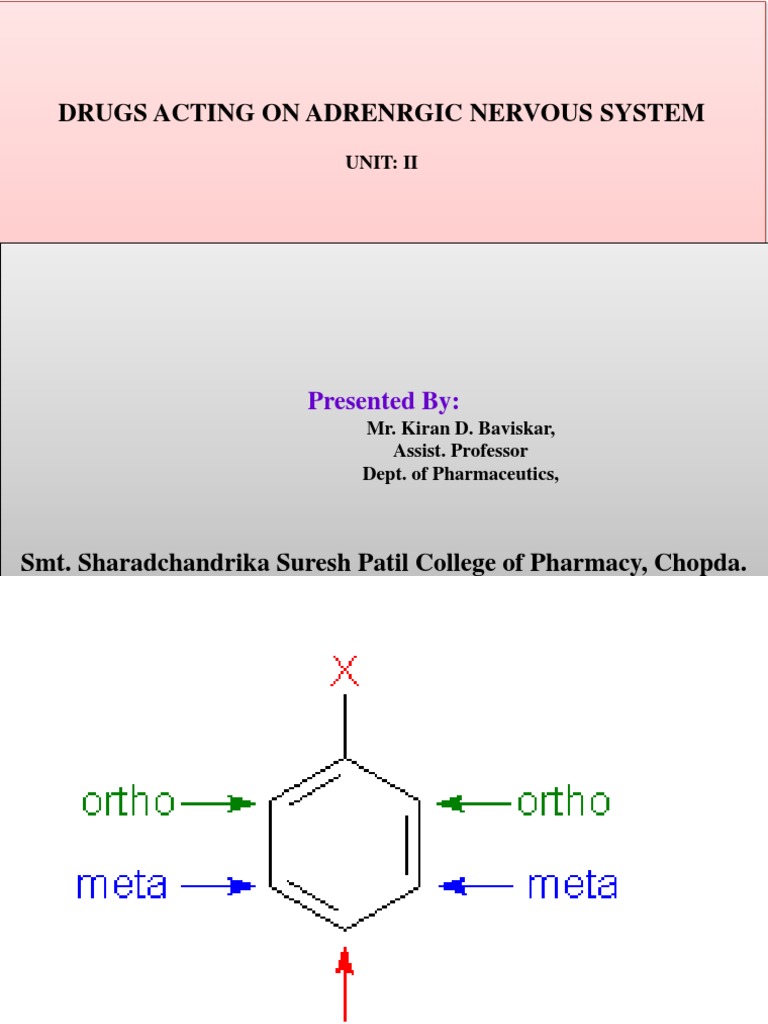 SAR of Adrenergic Drugs Overview | PDF | Norepinephrine | Neurophysiology