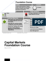 Capital markets foundation course