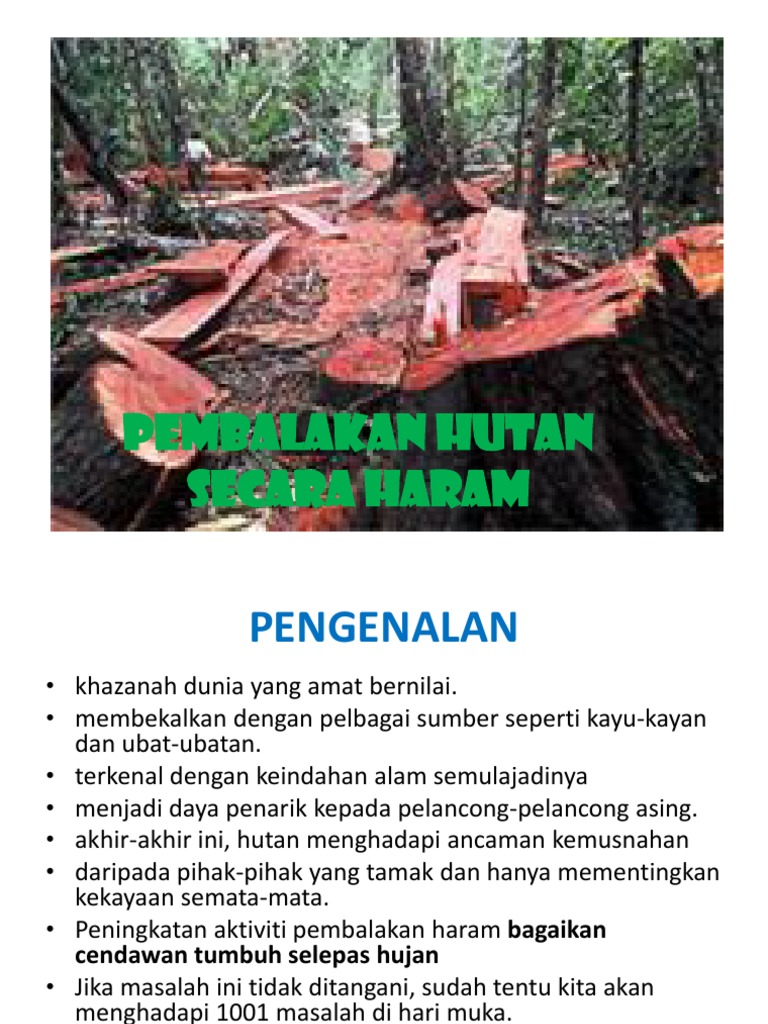 Pembalakan Hutan Secara Haram Pdf