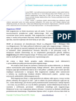 Zamalypemf.pdf