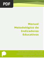 Manual de Indicadores 