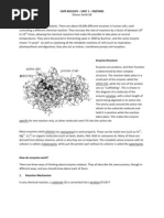 Cape Biology - Unit 1 - Enzymes