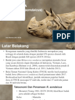 Rhino-Rhinoceros-head-shot-PowerPoint-Templates-Widescreen.pptx