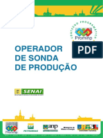 Operador de Sonda de Produção.pdf