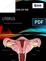 Benign Lesions of The Uterus 1.1