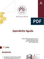 Apendicitis