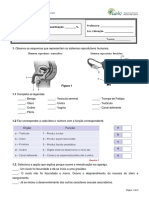 311329768-teste6-6A.docx