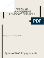 Areas of Management Advisory Services