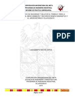 Informes de Práctica Empresarial PDF