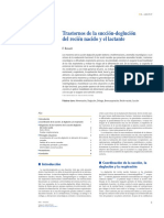 Trastornos de la succión-deglución RN.pdf