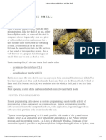 Python Advanced_ Python and the Shell