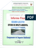 Vol. 5 Resumen Ejecutivo de Imp Amb.pdf