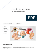 5 sentidos y estructura del ojo