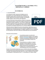 Proteinas y Lipidos - Informe