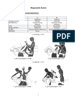 PNF Diagonale-Kabat