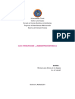 Caso Principios de La Administracion Publica