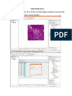 Tarea Arcgis Bas s5 Choque Mamanchura