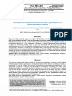 Microorganismos Depuradores Asociados Con Eneas Typha Latifolia