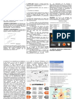 LA SINTESIS, ABSORCION, METABOLISMO Y FUNCIONES DE LA VITAMINA D