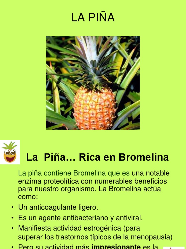 4) Piña | PDF