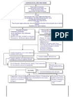 Genealogía del racismo: la función homicida del Estado