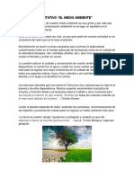 Texto Argumentativo El Medio Ambiente