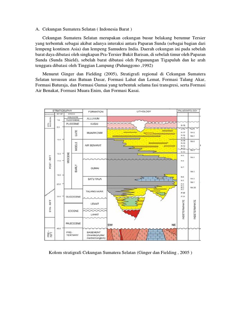 Cekungan Sumatera Selatan | PDF