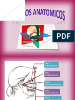 Proyeccionesdelcraneo 140318230748 Phpapp02 PDF