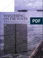 Wandering on the Wave