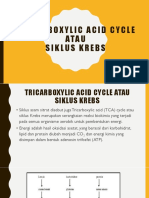 Tricarboxylic Acid Cycle Up