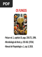 Aula Fungos - Parte I