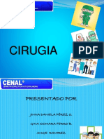 de Cirugias PDF