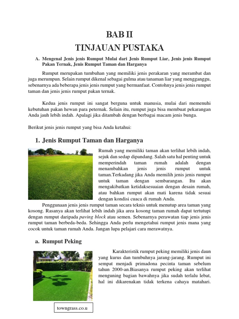 Jenis-Jenis Rumput dan Manfaatnya | PDF
