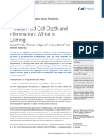 Programmed Cell Death and Inflammation: Understanding the Role of Efferocytosis