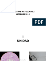 MUESTRAS HISTOLOGICAS (1)