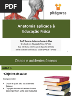 ANATO Aula 3.2 Ossos e Acidentes Ósseos