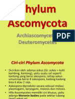 M.05-Phylum Ascomycota