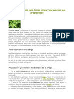 15 buenas razones para tomar ortiga y aprovechar sus propiedades.docx