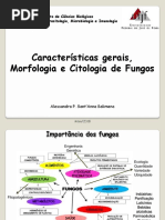 1.-Características-gerais-Morfologia-e-Citologia-dos-Fungos-Medicina-Microbiologia-II-converted.pptx